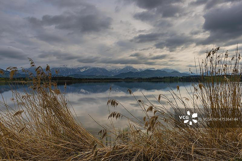 霍普芬湖，东阿尔高县，阿尔高，施瓦本，巴伐利亚，德国图片素材