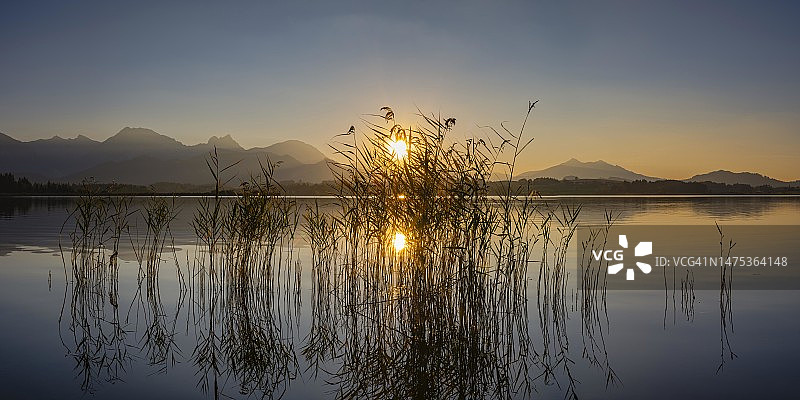 德国巴伐利亚阿尔高地区菲森附近的霍普芬湖日落图片素材