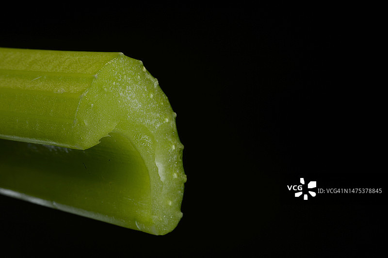 芹菜片图片素材