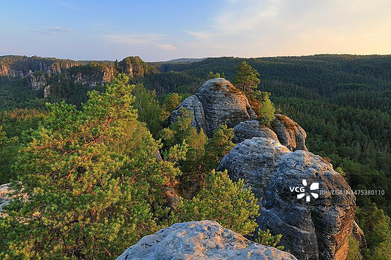 砂岩上的松树（松属），德国萨克森拉滕Gamrig图片素材