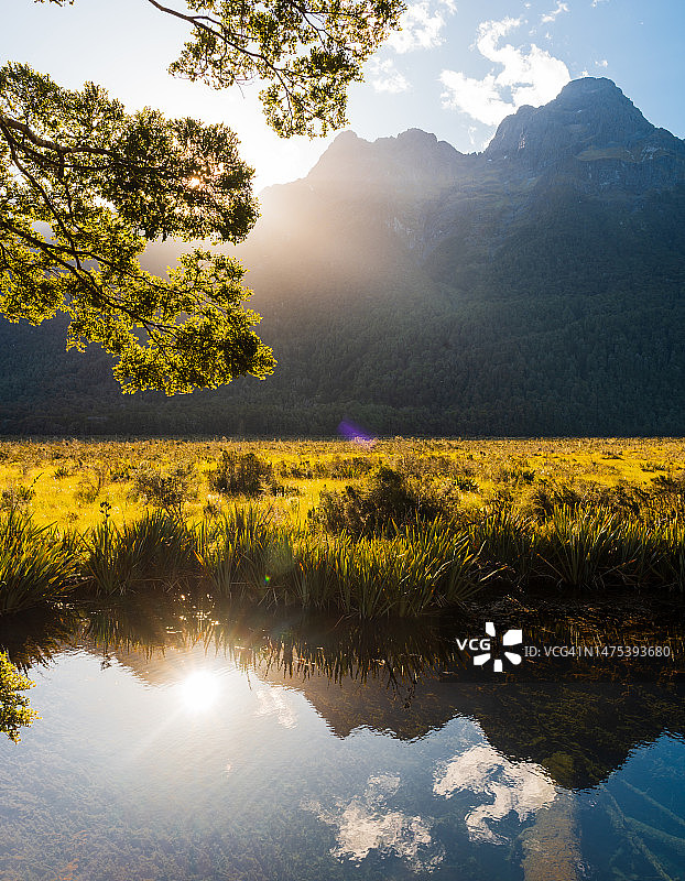 镜湖美丽的倒影图片素材