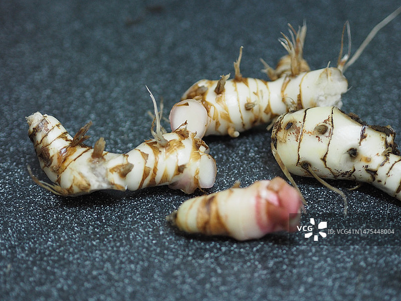 高良姜，大高良姜，姜黄，高良姜（L.）Willd.图片素材