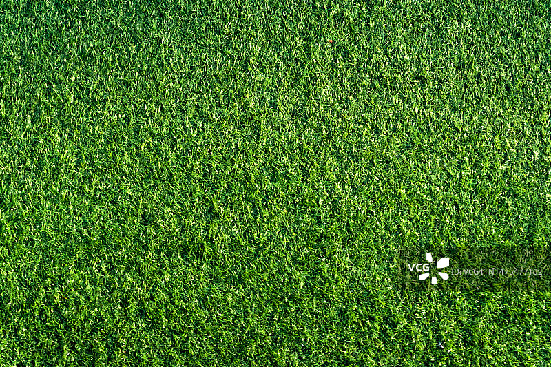 绿色草地背景，操场上的人造草图片素材