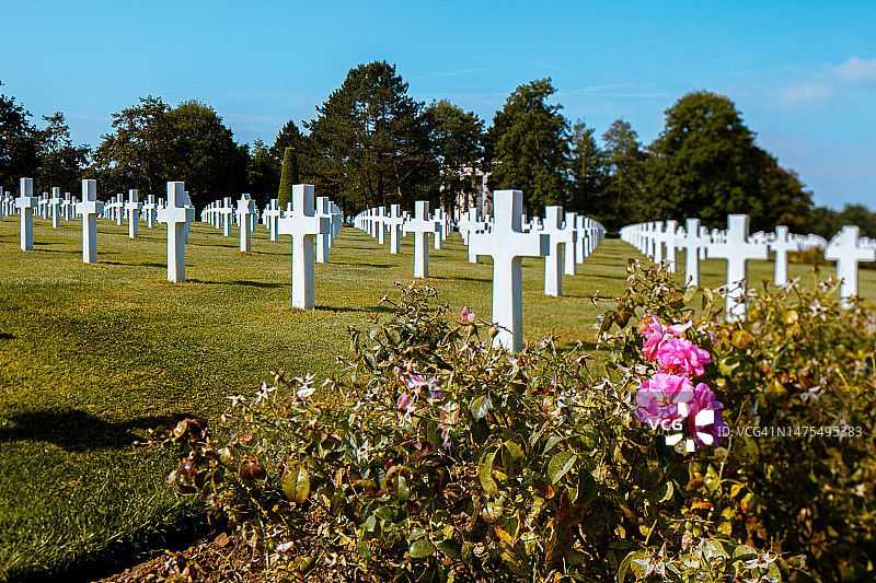 奥马哈海滩墓地里的大量白色十字架图片素材
