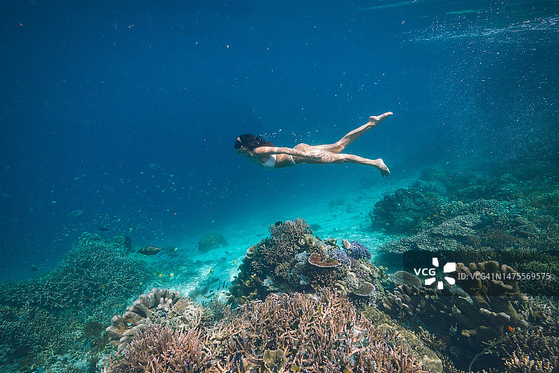 在泻湖中浮潜的女人水下视角图片素材