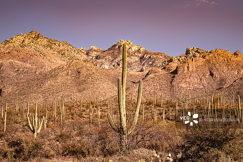 美国萨比诺峡谷田野风光图片素材