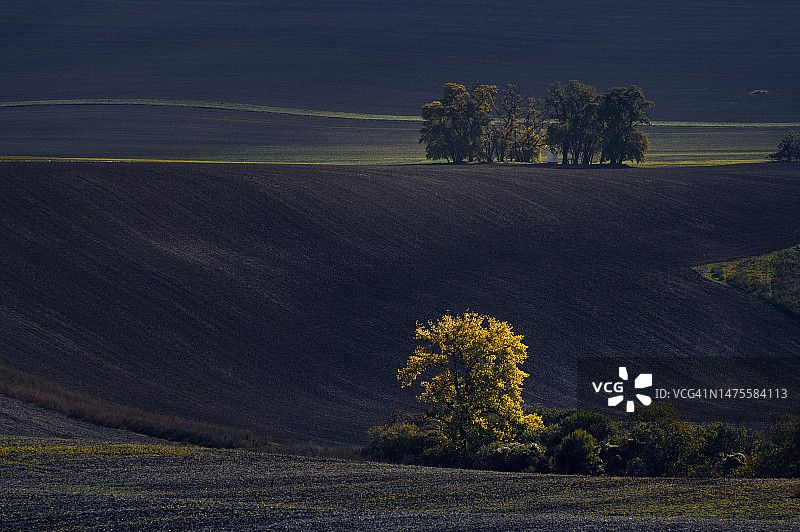 天空映衬下的田野风景图片素材