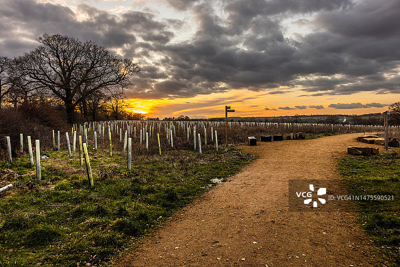 日落时分英国弗尼山农场的田野风光图片素材