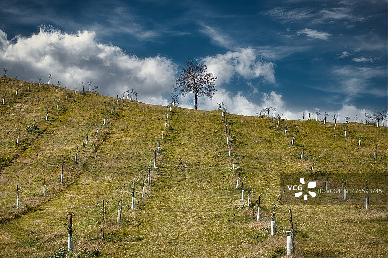 意大利马切拉塔省圣塞韦里诺马尔凯的田野风光图片素材