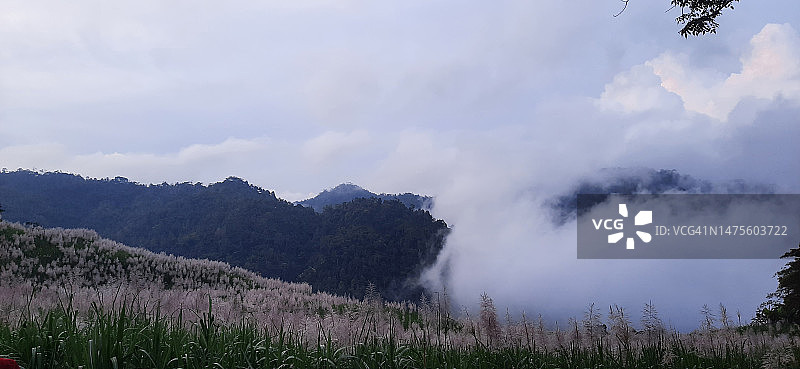 全景景观对天空图片素材