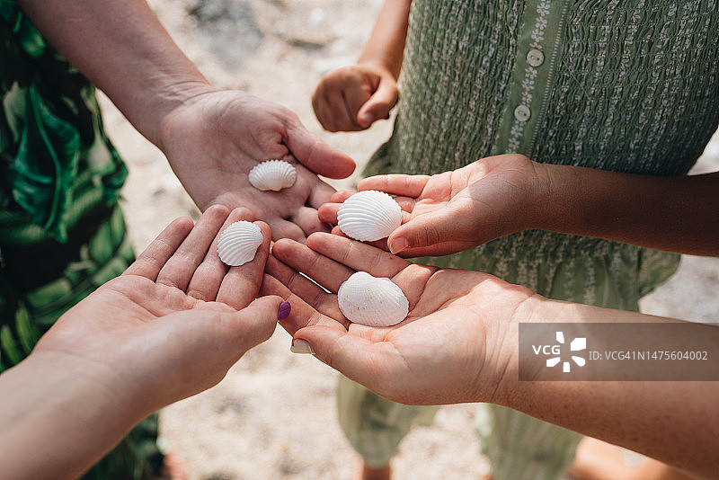 人们在泰国苏梅岛手持贝壳的局部手部特写图片素材