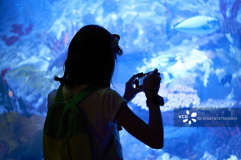 水族馆前给动物拍照的年轻女孩的轮廓图片素材