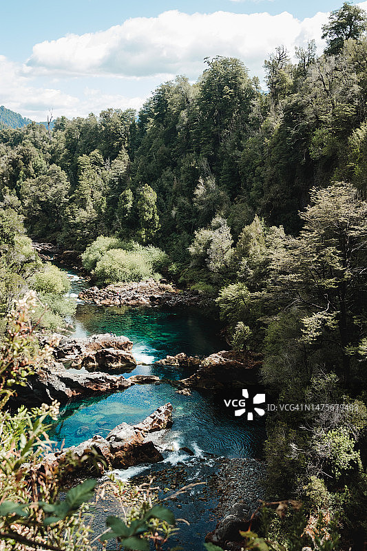 绿树丛中碧绿的巴塔哥尼亚河图片素材