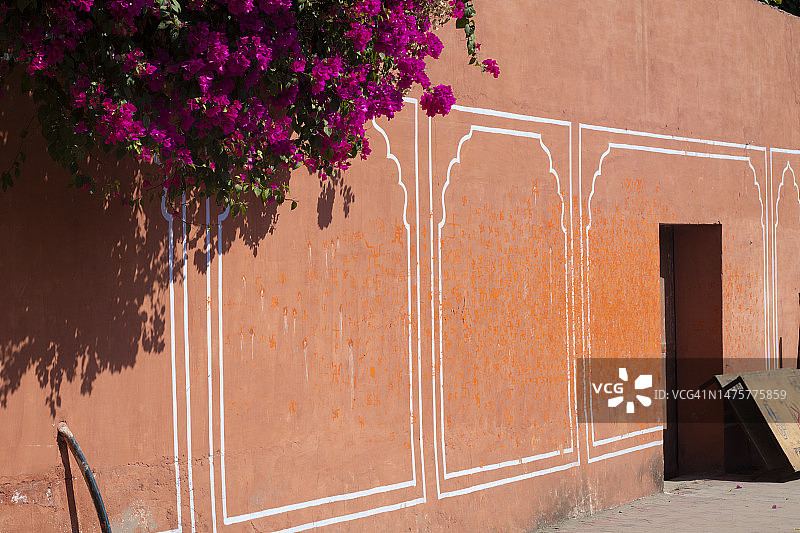 三角梅与殖民时期墙壁图片素材