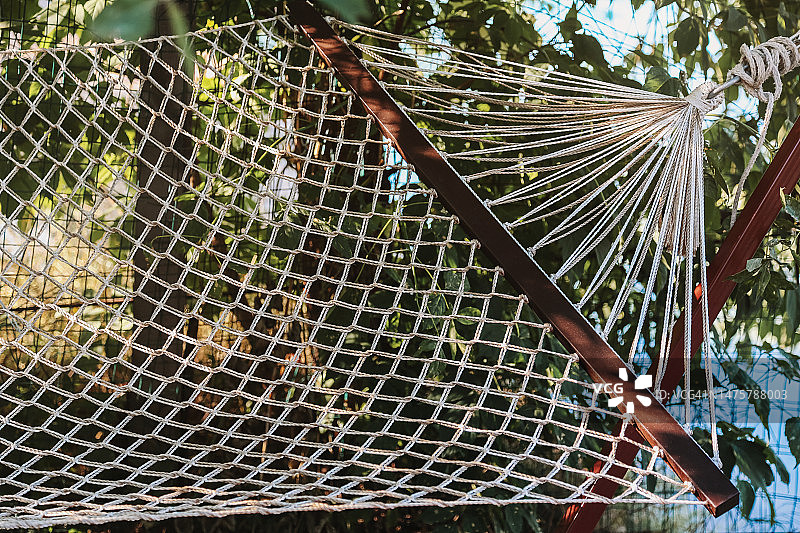 阳光明媚的夏日清晨，空旷的湖岸背景上的吊床图片素材