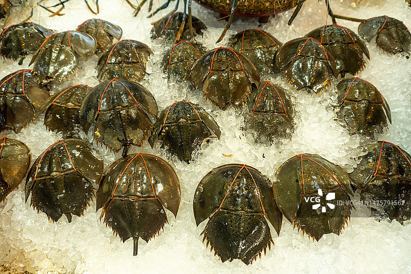 冰鲜帝王蟹图片素材