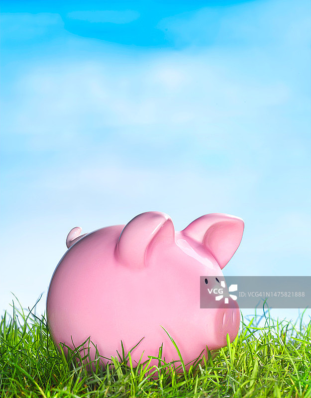 草地上的储蓄罐特写图片素材