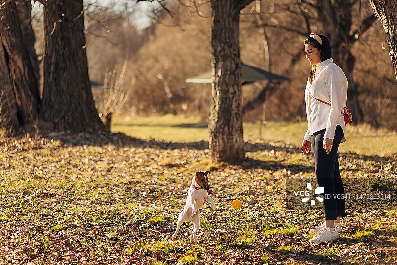 女子积极与狗玩耍，保持其健康图片素材