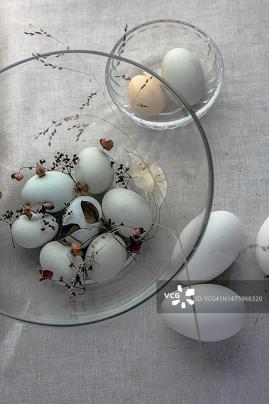 鹅、鸭、母鸡和亚麻布上的鸡蛋图片素材