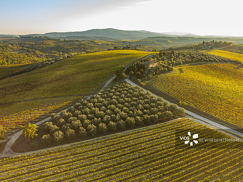 托斯卡纳：基安蒂地区卡斯特利纳附近的乡村风光图片素材