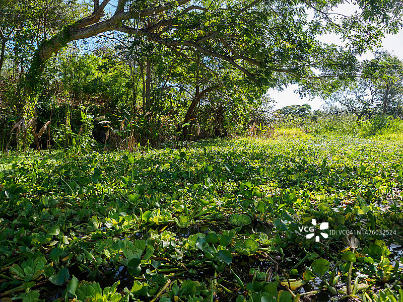 尼加拉瓜格拉纳达群岛图片素材