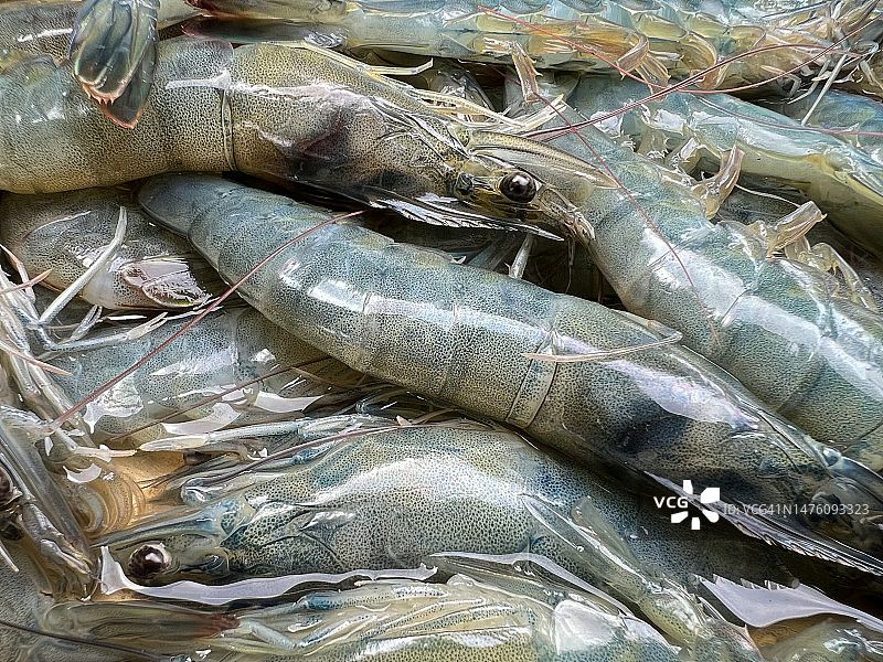 胡志明市唐人街市场的待售炸虾图片素材