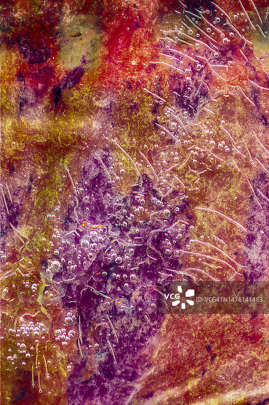 抽象转型摄影图片素材