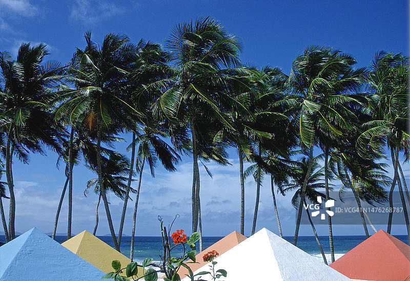 委内瑞拉玛格丽塔岛图片素材