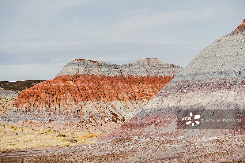 石化森林国家公园图片素材