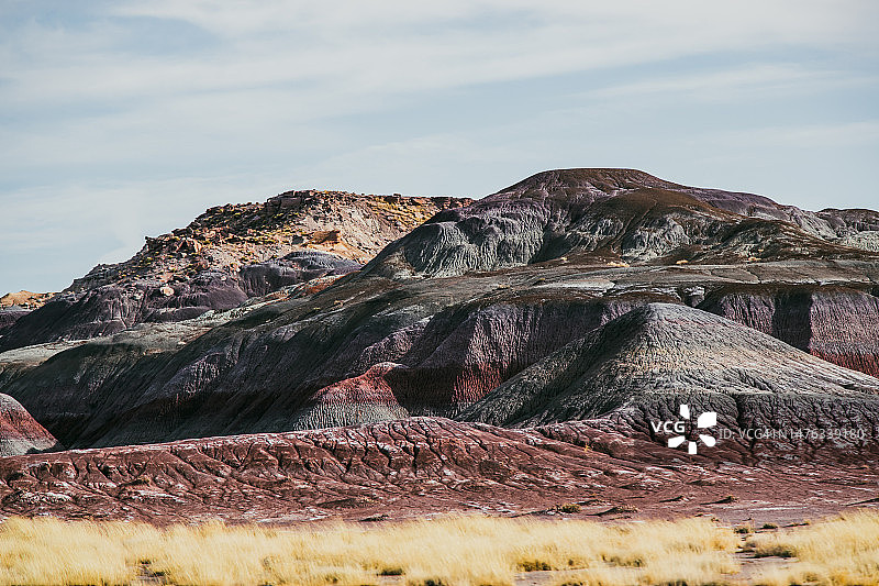 石化森林国家公园图片素材