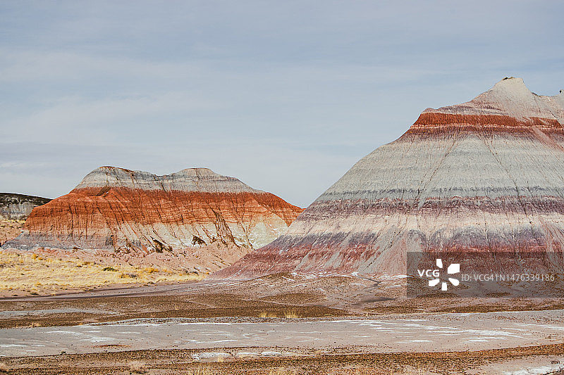 石化森林国家公园图片素材
