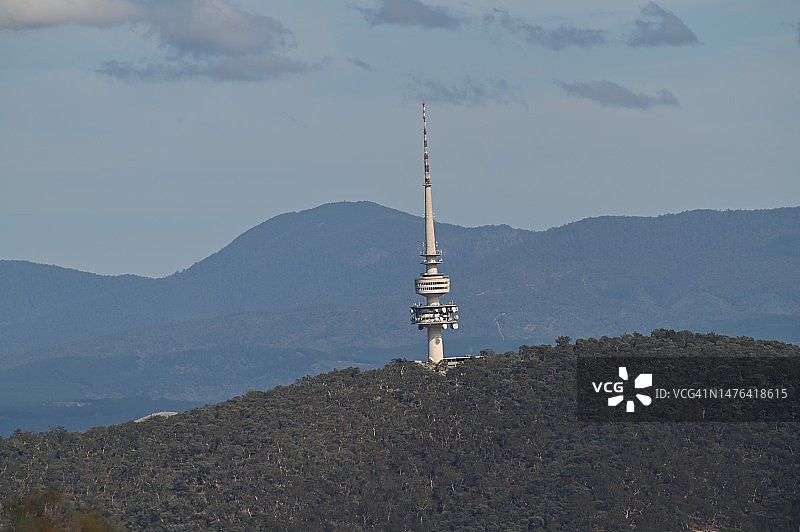 澳大利亚堪培拉，澳洲电信塔矗立在绿色山丘之上图片素材