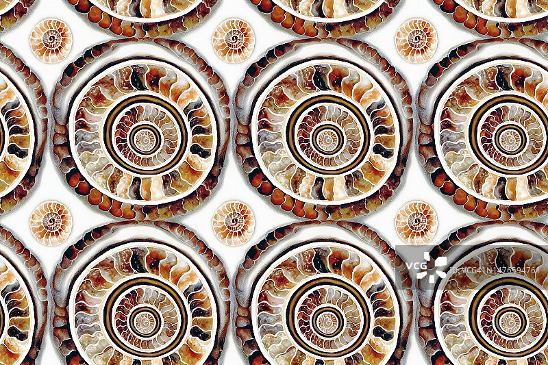 化石纹理无缝图案 3*2图片素材