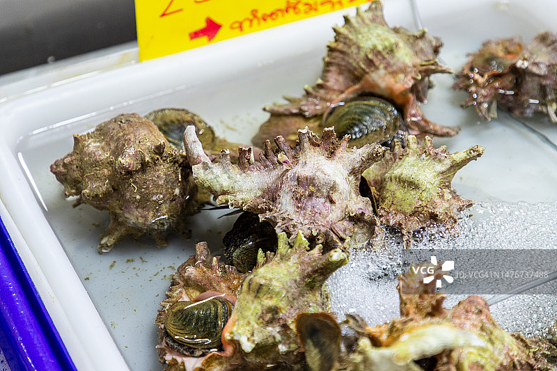 海螺葫芦图片素材