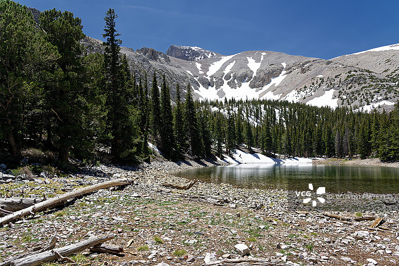 寂静之地中的自然之声图片素材