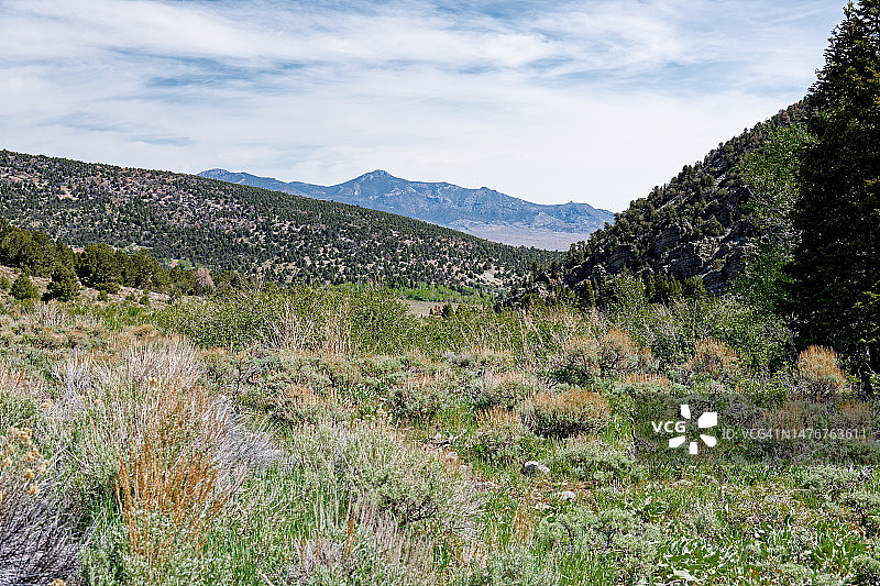 大盆地国家公园的鼠尾草山脊和远眺莫赖亚山图片素材