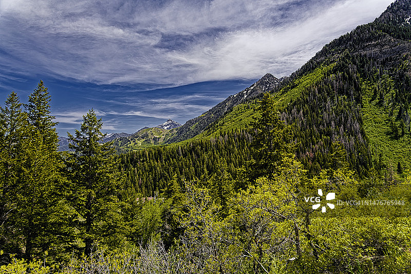 多年前，我发现了美的事物图片素材