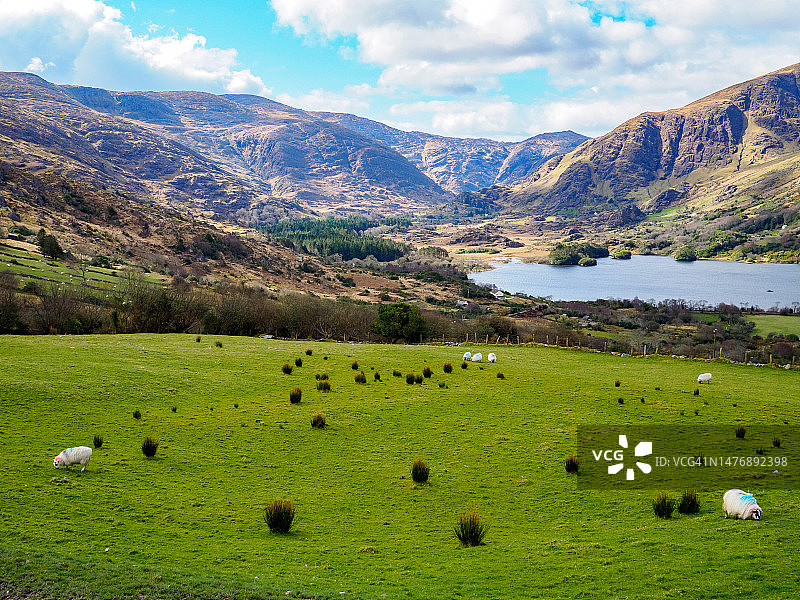 爱尔兰贝拉半岛的希利山口图片素材