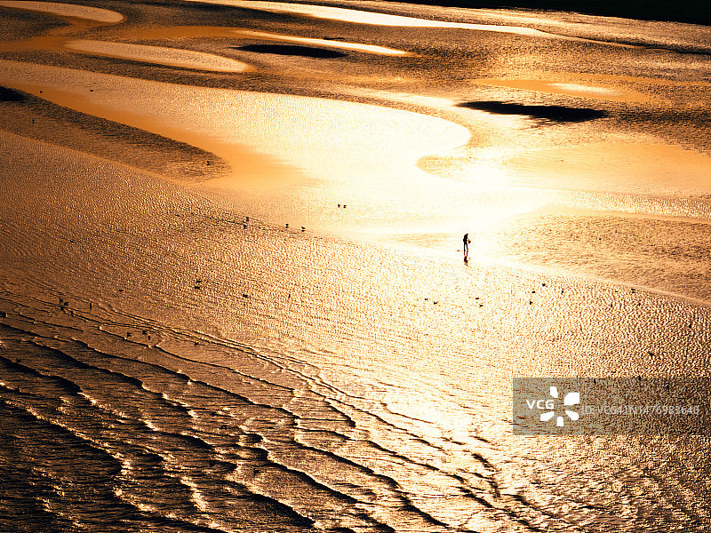 男人在退潮后寻找海鲜图片素材