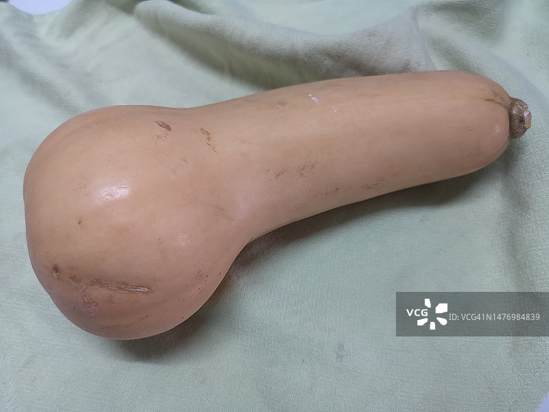 布面上的冬南瓜图片素材