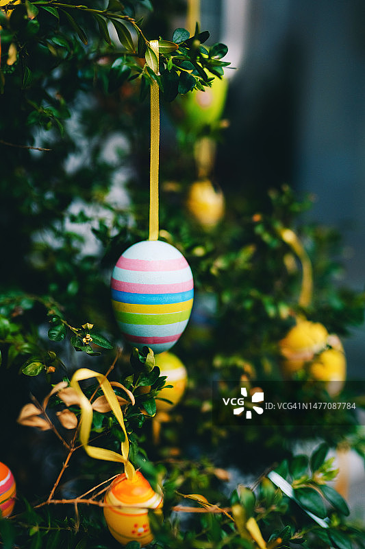 挂在树上的复活节彩蛋，装饰树枝图片素材