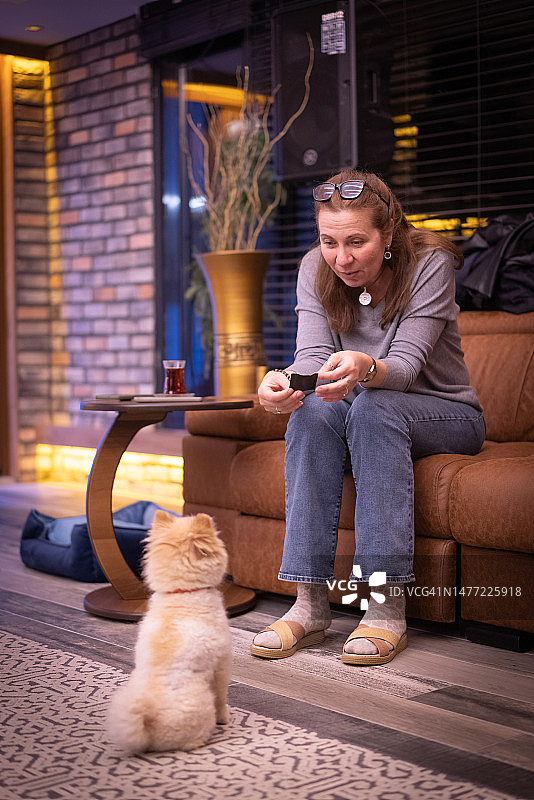 在客厅沙发上和狗狗玩耍的美丽女人图片素材