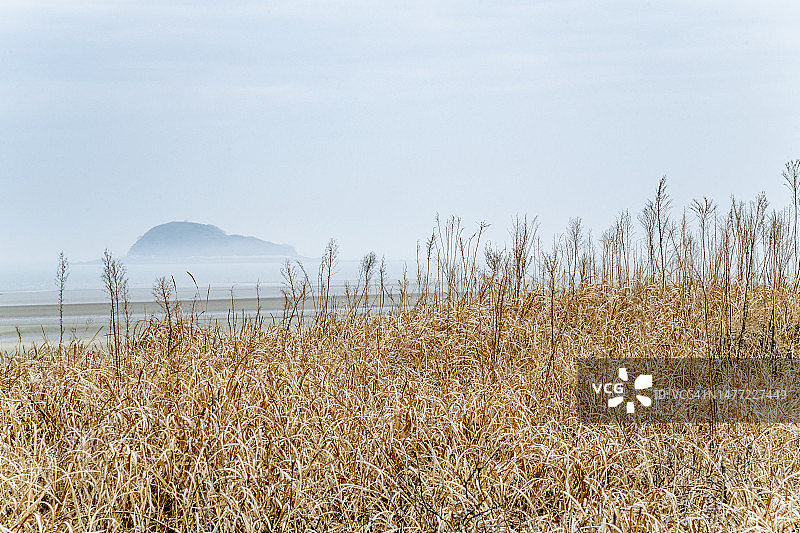 保宁沼黄沙丘海滩和黄竹岛图片素材