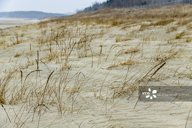 保宁昭皇沙丘图片素材