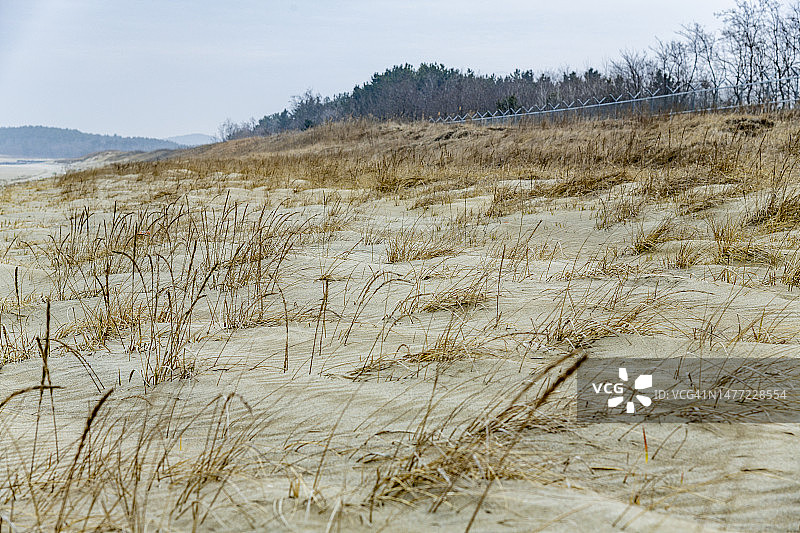 保宁昭皇沙丘图片素材