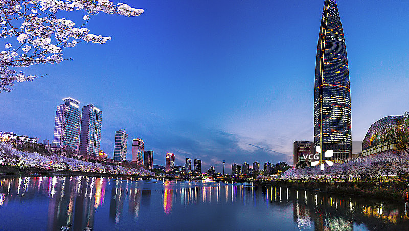 石村湖樱花夜景图片素材