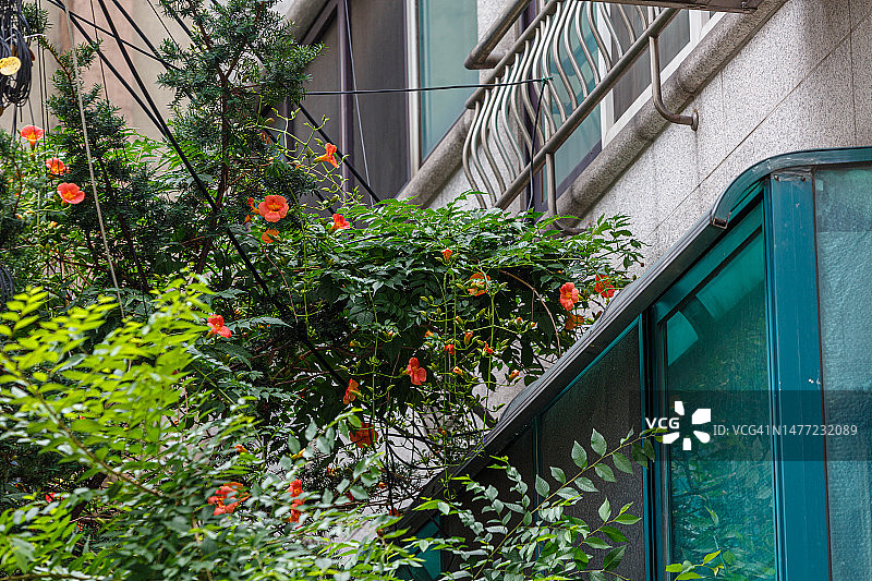 光明市茅甘川图片素材