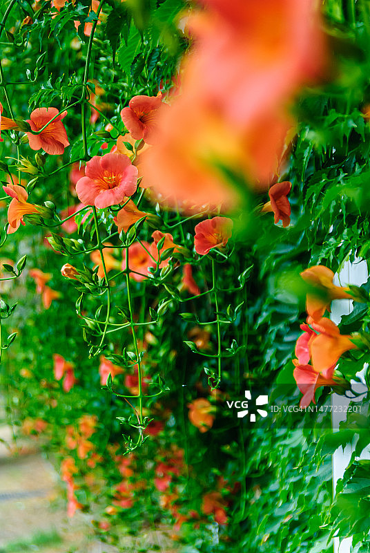 首尔城东区圣水洞1街图片素材