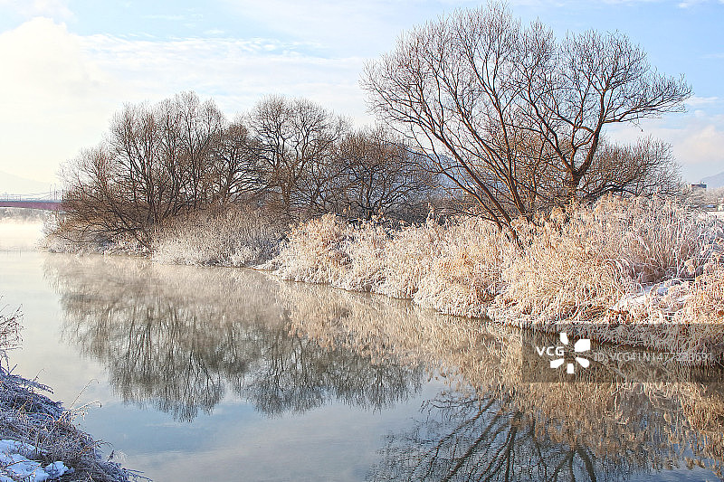 昭阳江雾凇图片素材