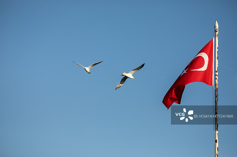 游览土耳其伊斯坦布尔图片素材